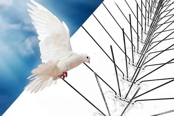 شركه تركيب طارد حمام بالأحساء